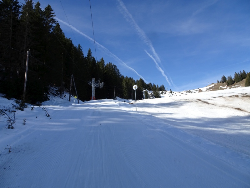 dsc06437wzdbc.jpg