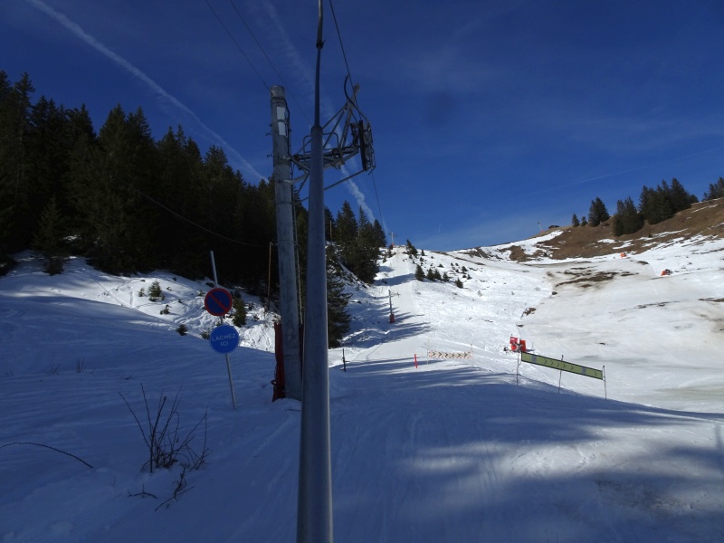 dsc06442n6ftd.jpg