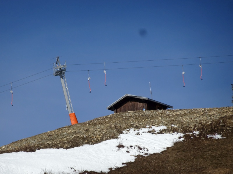 dsc0644869dz4.jpg