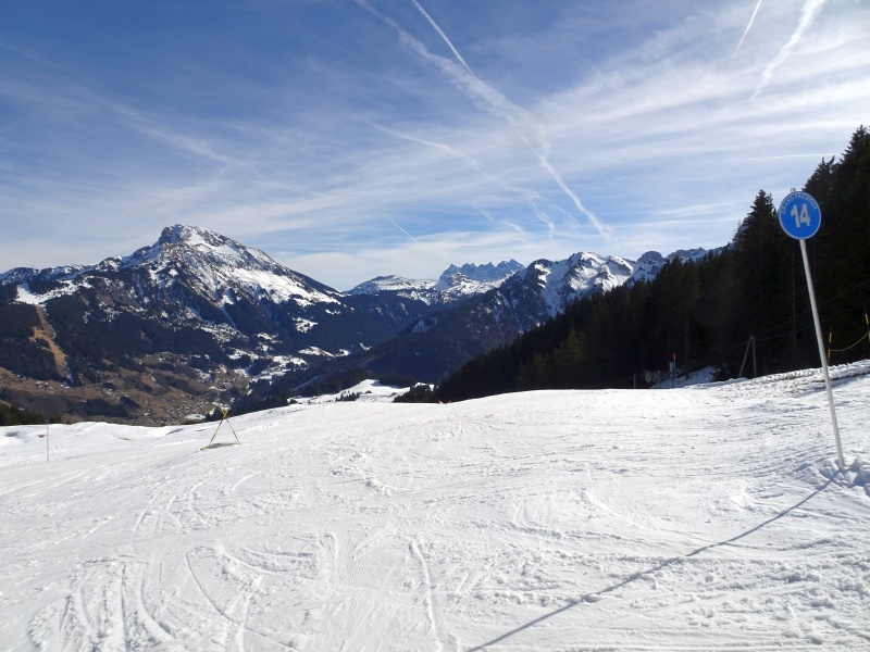 dsc0644952c68.jpg