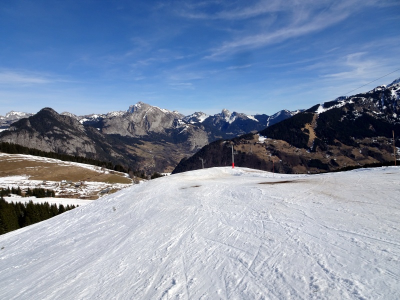 dsc06503xifky.jpg