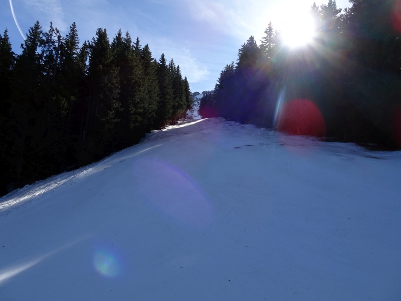 dsc06508fsdm1.jpg