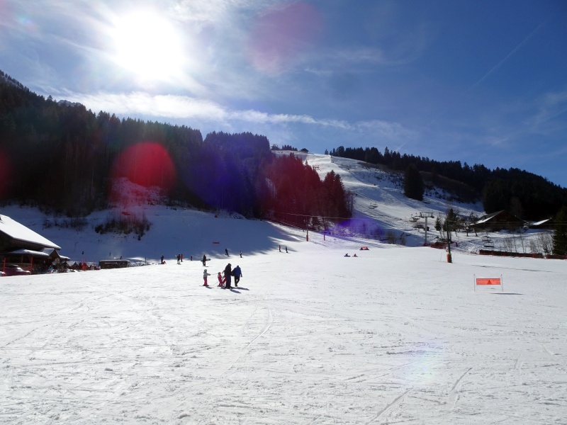 dsc06522l1i24.jpg