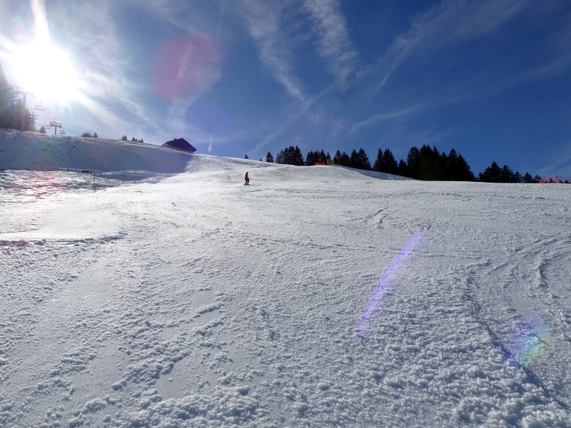 dsc06579c7dkn.jpg