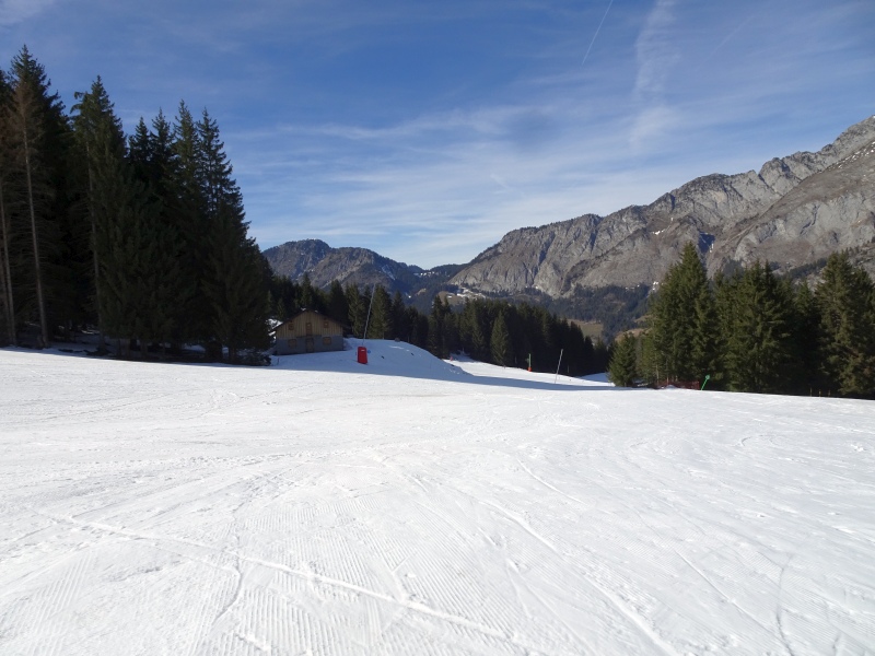 dsc06611sjd2z.jpg