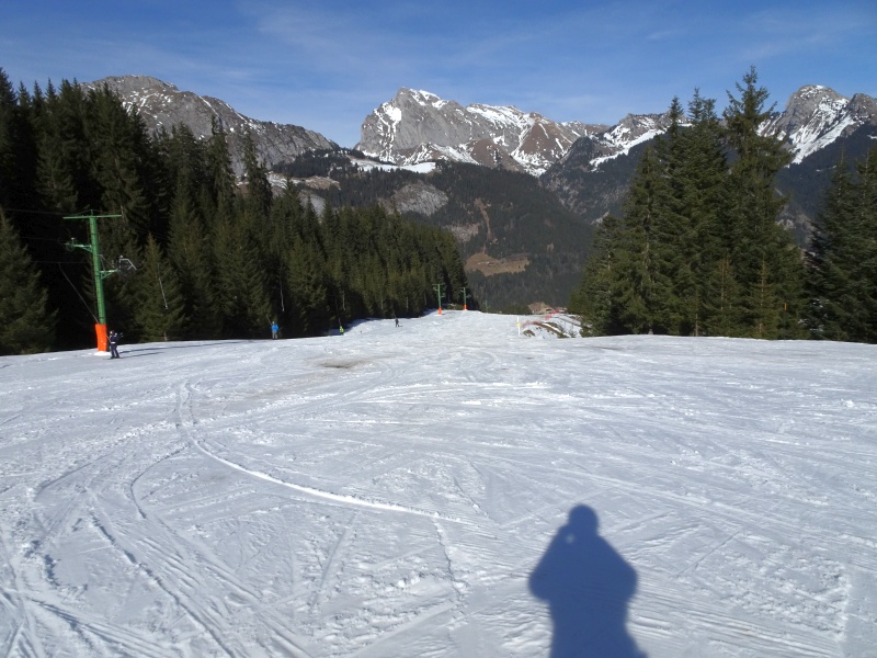 dsc066520tc83.jpg