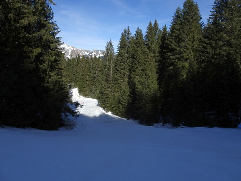 dsc06660hde2d.jpg