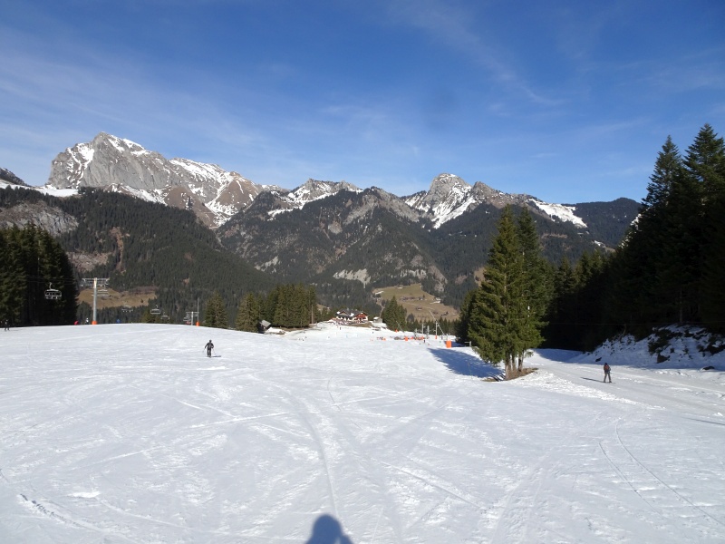 dsc06668ledr1.jpg