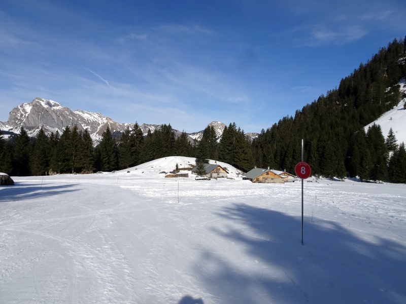 dsc06716bdiat.jpg