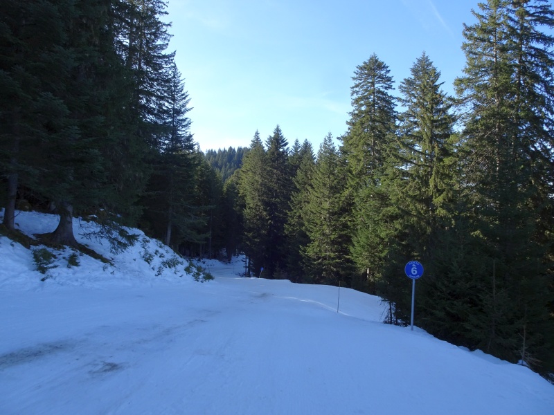 dsc067386hft8.jpg