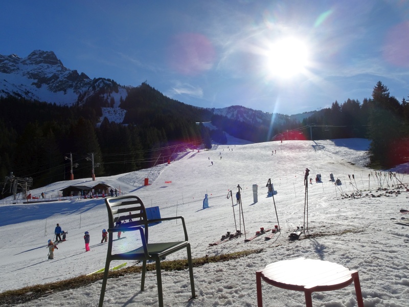 dsc0674672dzb.jpg