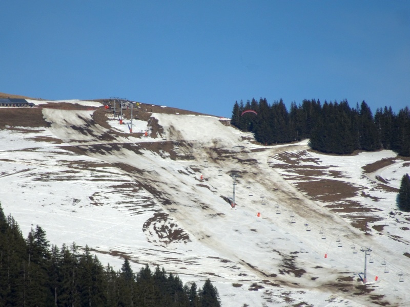 dsc067485bch2.jpg