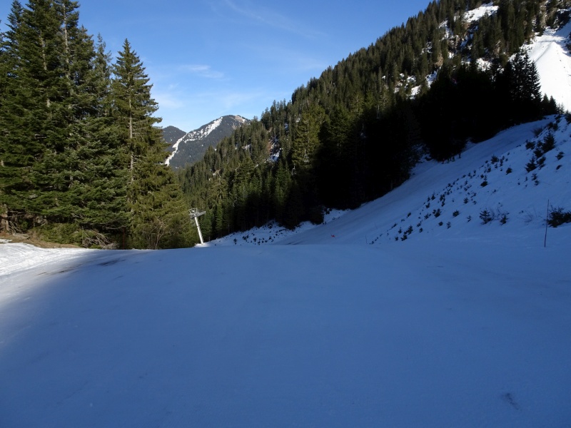 dsc06750ond27.jpg
