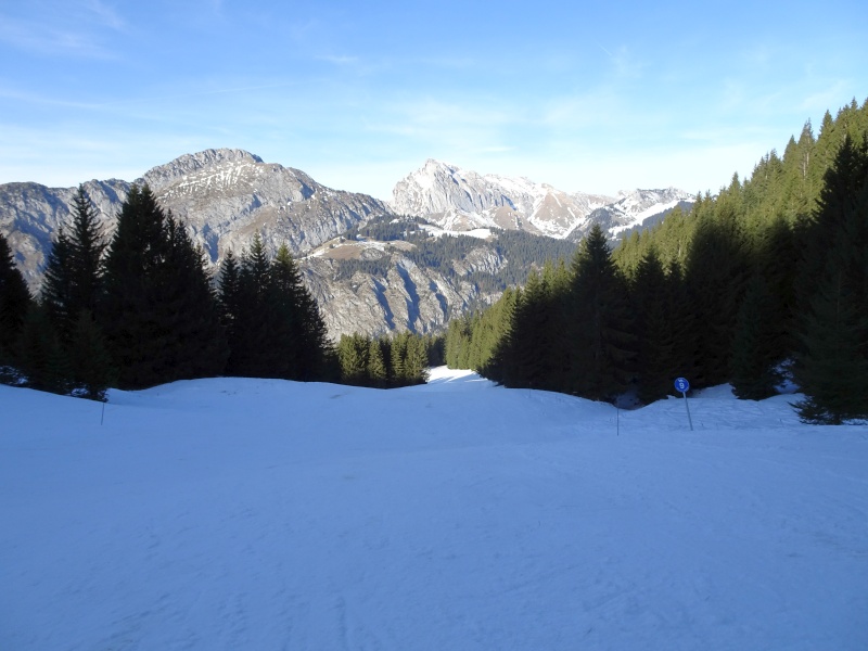 dsc06759svcwl.jpg