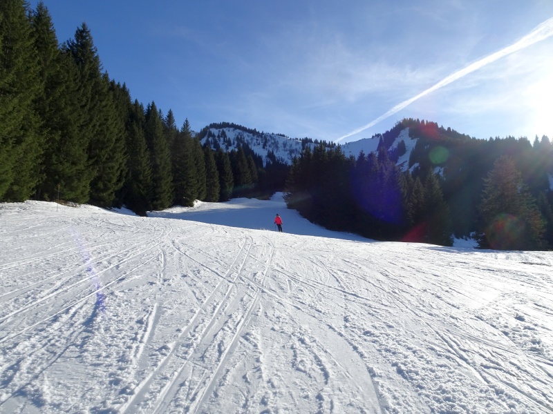 dsc0676277dzf.jpg