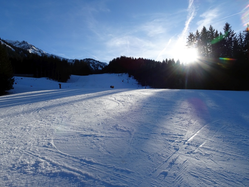 dsc06766qniqg.jpg