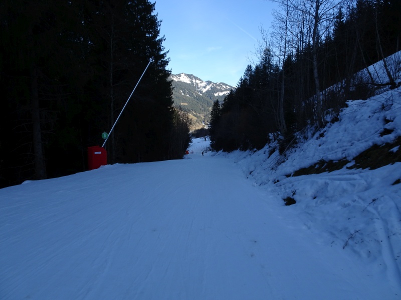 dsc067772qdxc.jpg