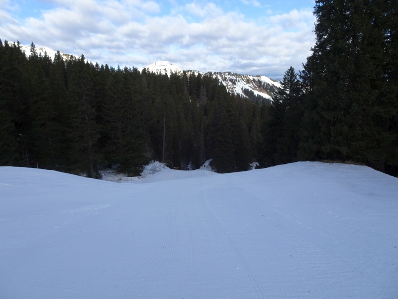 dsc06815pzchp.jpg