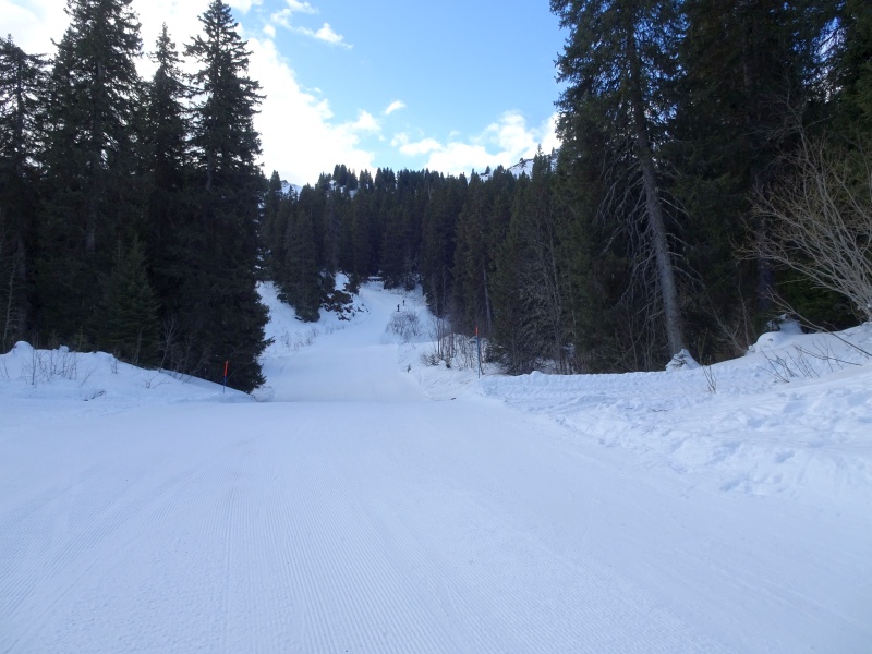 dsc06817i7er0.jpg