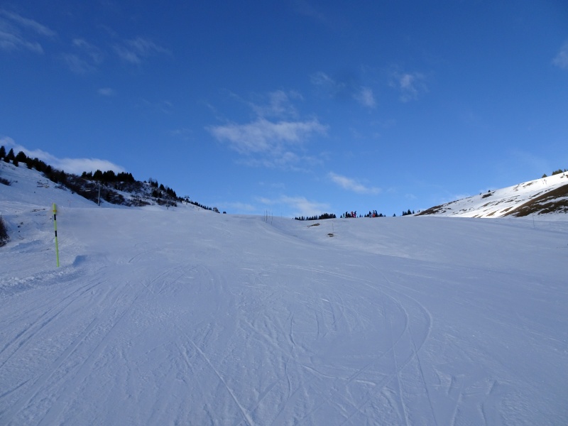 dsc06827jydzg.jpg