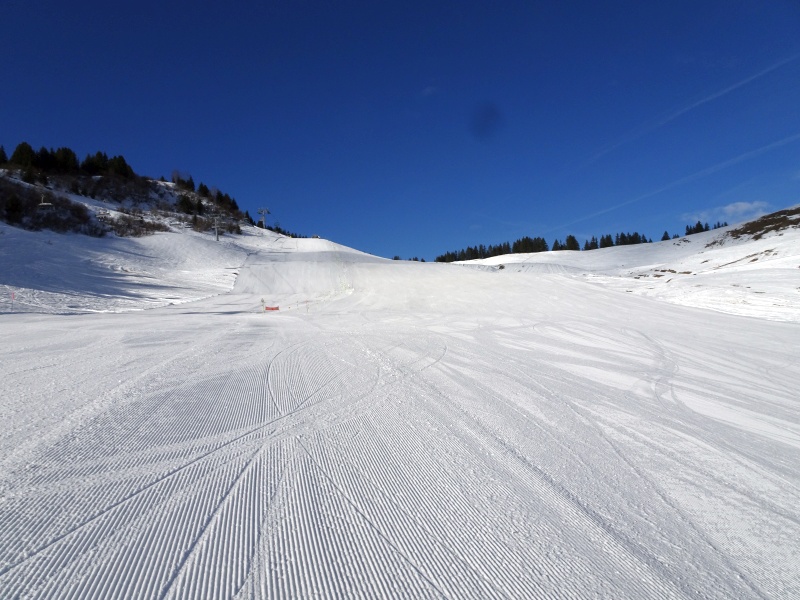 dsc068352lf4b.jpg