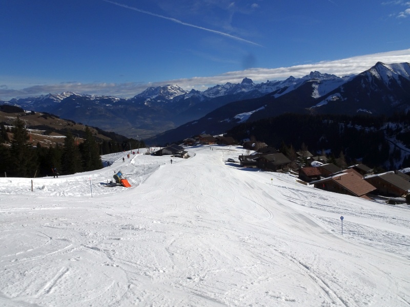 dsc06838e3ekv.jpg