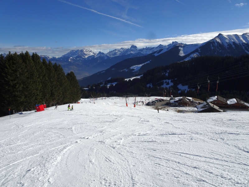dsc06839m6c6v.jpg