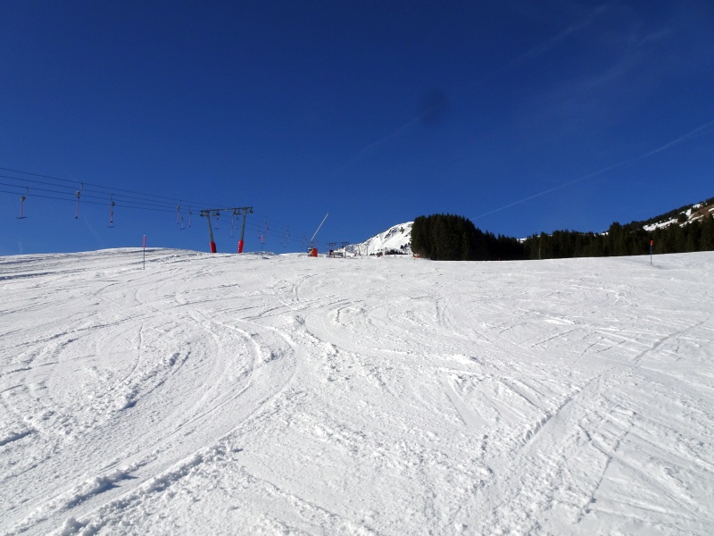 dsc06840lccey.jpg