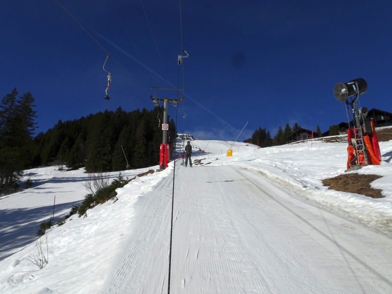 dsc068464nfyr.jpg