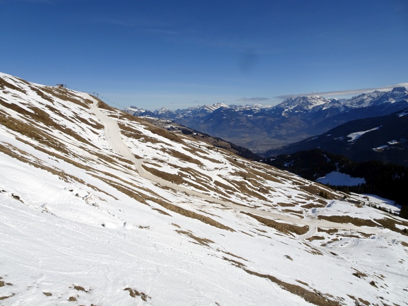 dsc06852qxdol.jpg