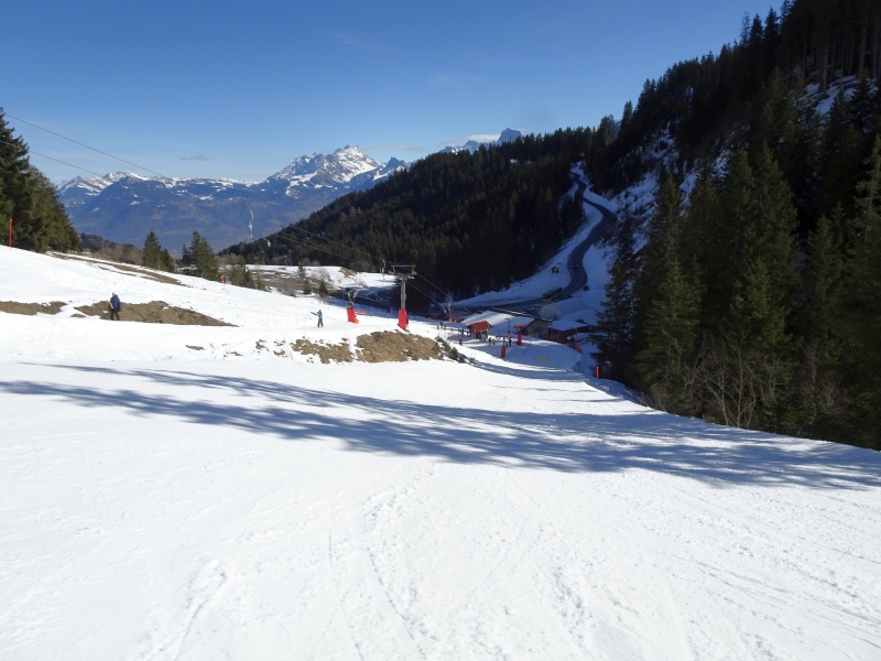dsc068658sfay.jpg