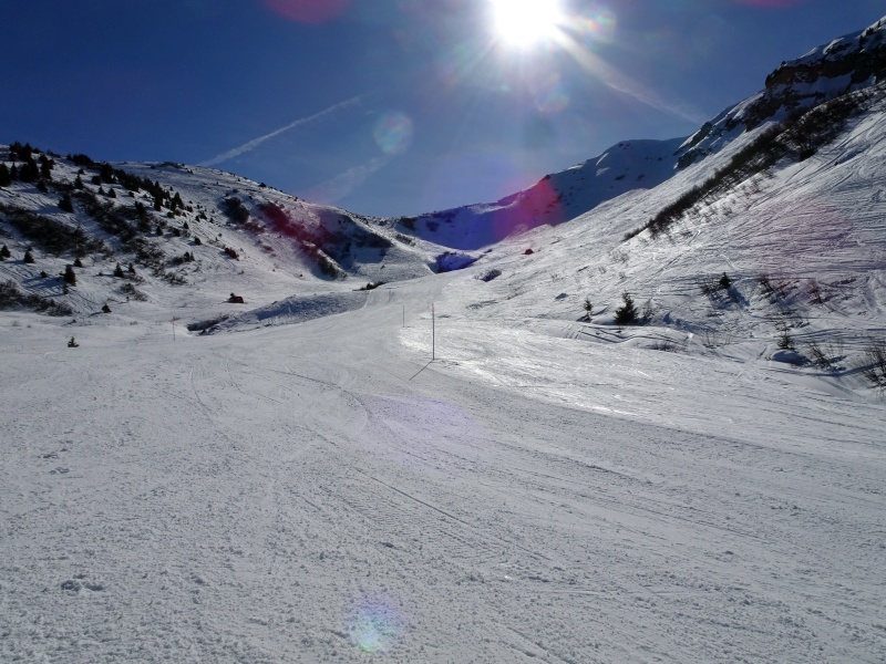 dsc06873nqezl.jpg