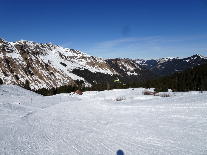 dsc06874zqe6u.jpg