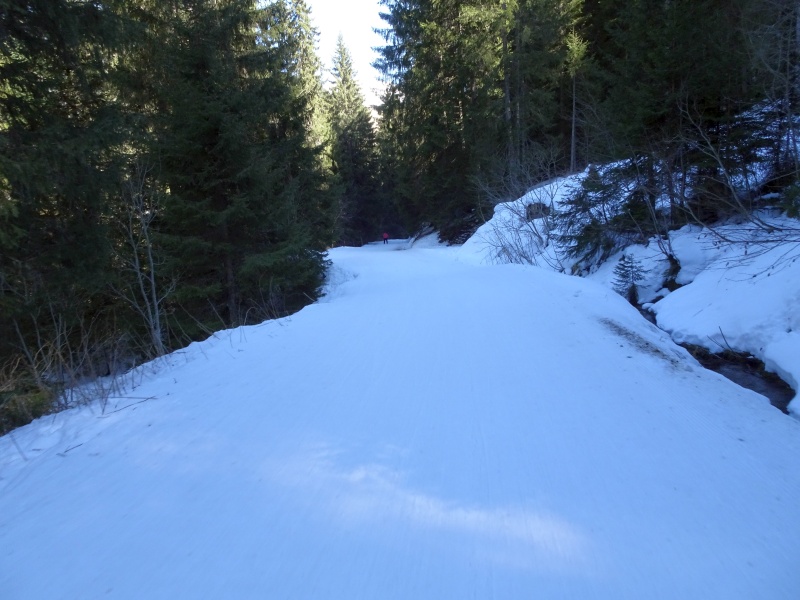 dsc06879y5fl0.jpg