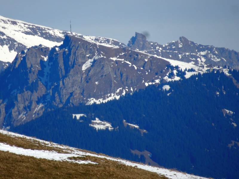 dsc06886fddwo.jpg