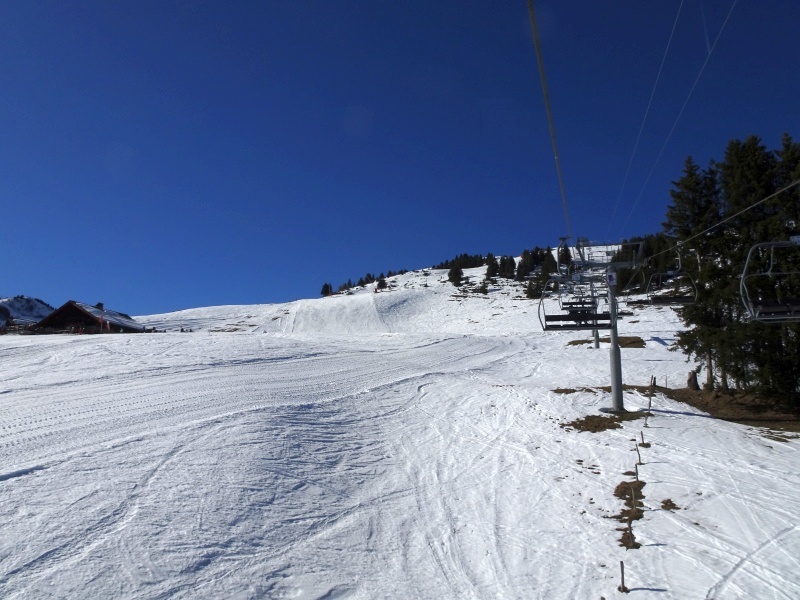 dsc06894mddgh.jpg