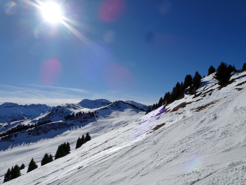 dsc06898jgcp1.jpg