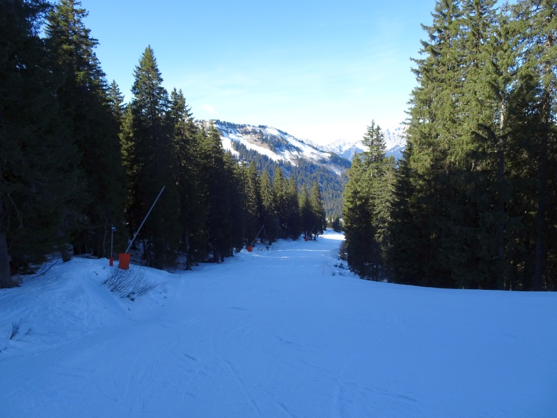 dsc06902ckebh.jpg