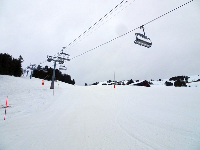 dsc069785qkz6.jpg