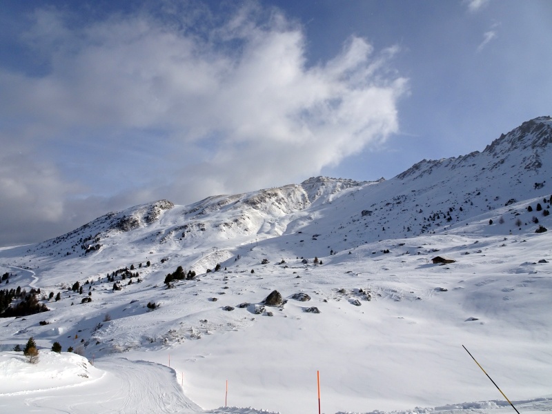 dsc06997mxfx0.jpg