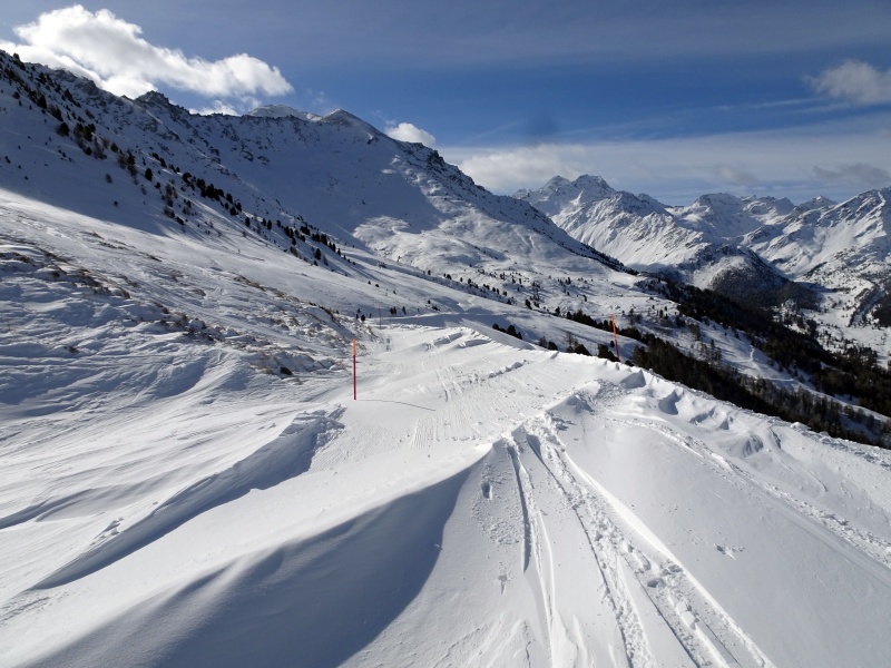 dsc0705503d1g.jpg