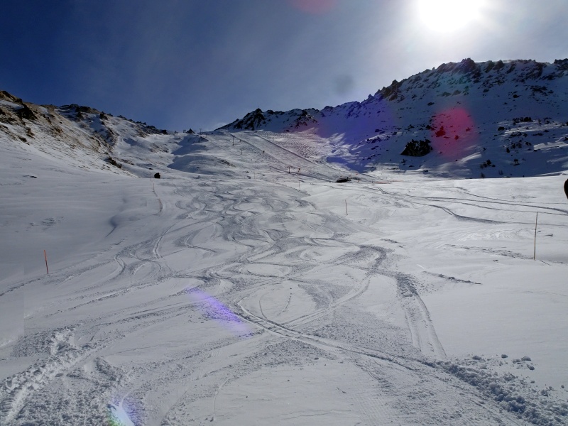dsc07079ibfj3.jpg