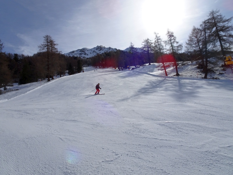dsc07104agieg.jpg