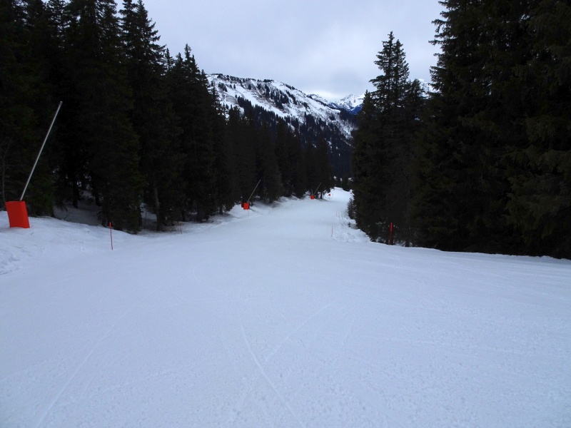 dsc07111hmjxa.jpg