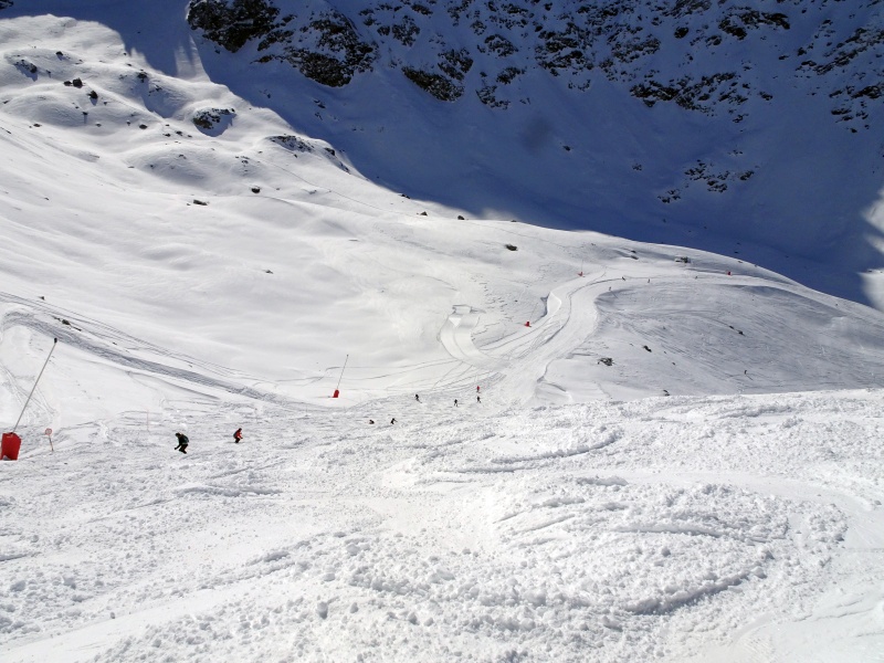 dsc07227xjc1a.jpg