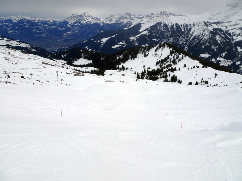 dsc07255z1jli.jpg
