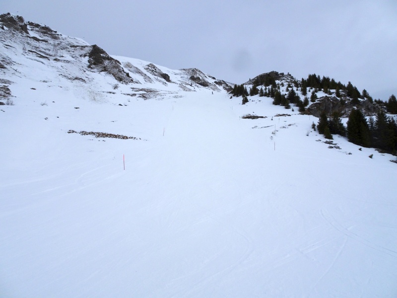 dsc072636fkrk.jpg