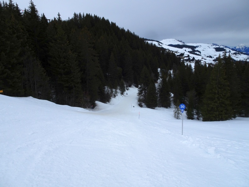 dsc07302btkcb.jpg