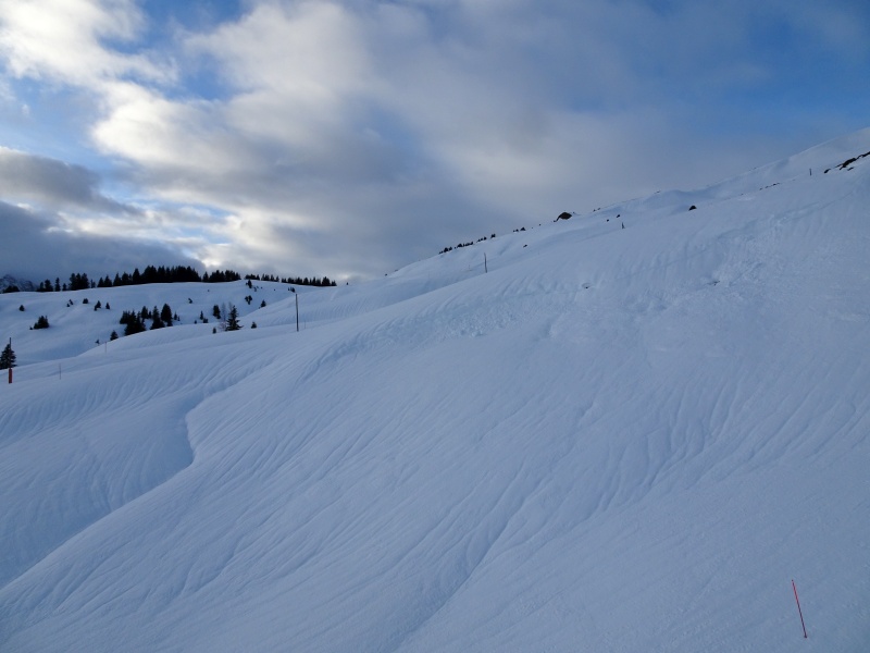 dsc07351lmk0b.jpg