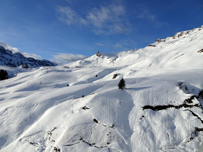 dsc07395w7kf3.jpg